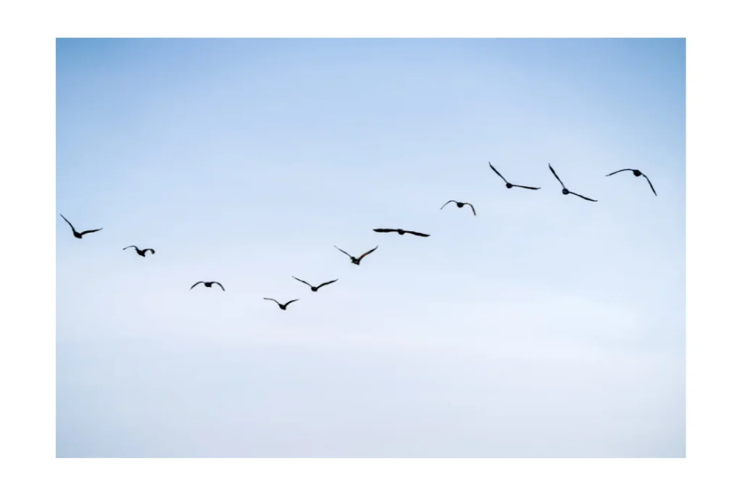 Liderazgo_MWQ_Wave 5