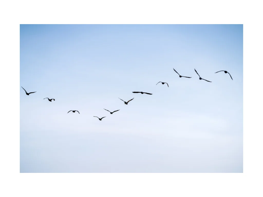 Inicio 3 Wave 5 — Liderazgo: coherencia que impulsa equipos y cultura